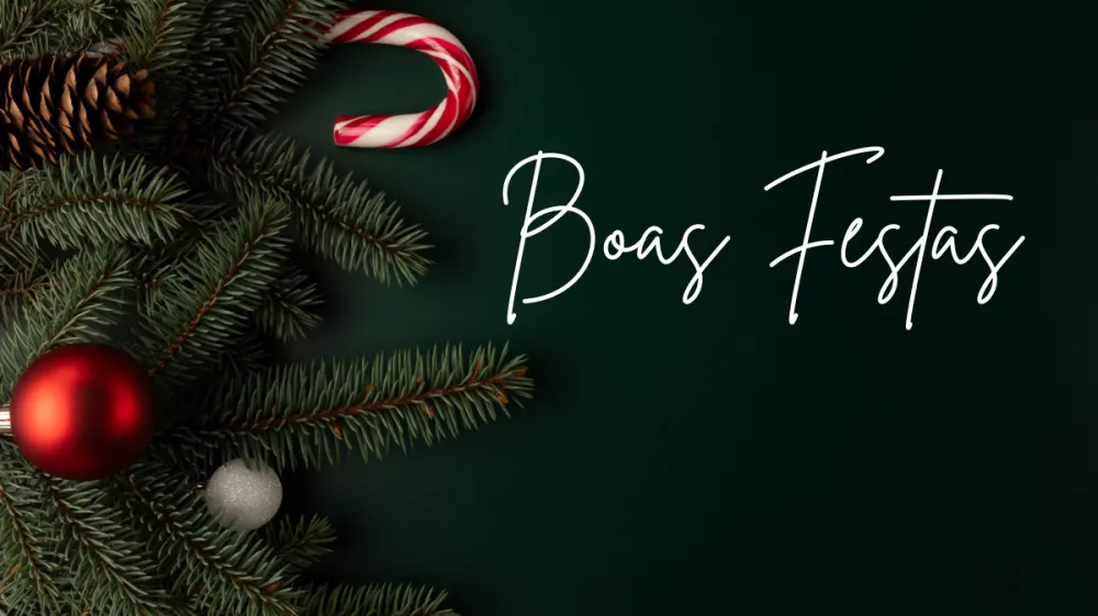 🎄✨ Boas Festas e um Pr&oacute;spero Ano Novo! ✨🎄