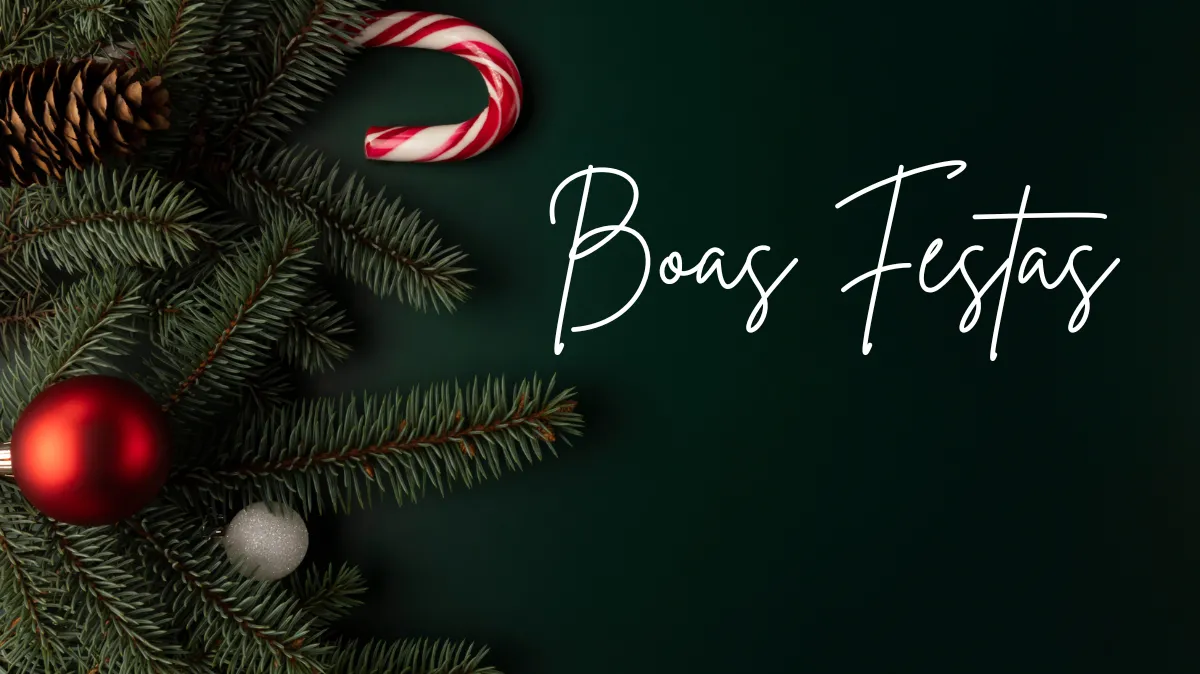 🎄✨ Boas Festas e um Pr&oacute;spero Ano Novo! ✨🎄